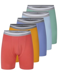 Bigdude 5 Pack Pastel Boxer Shorts Multi